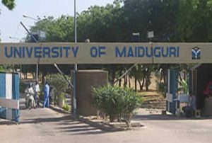 unimaid gst results