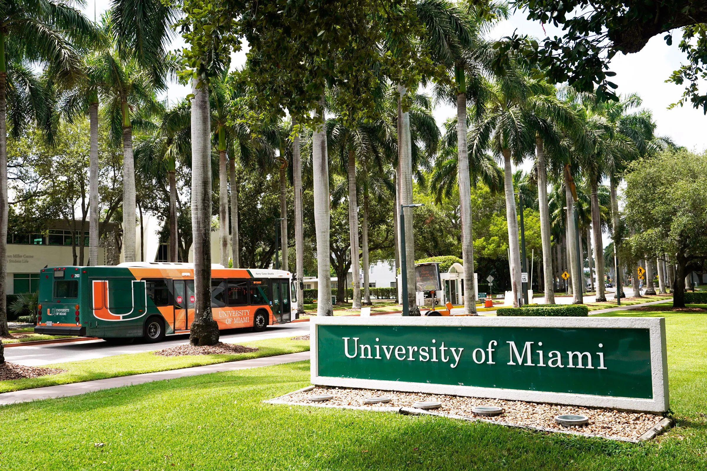 Brief History of the University of Miami