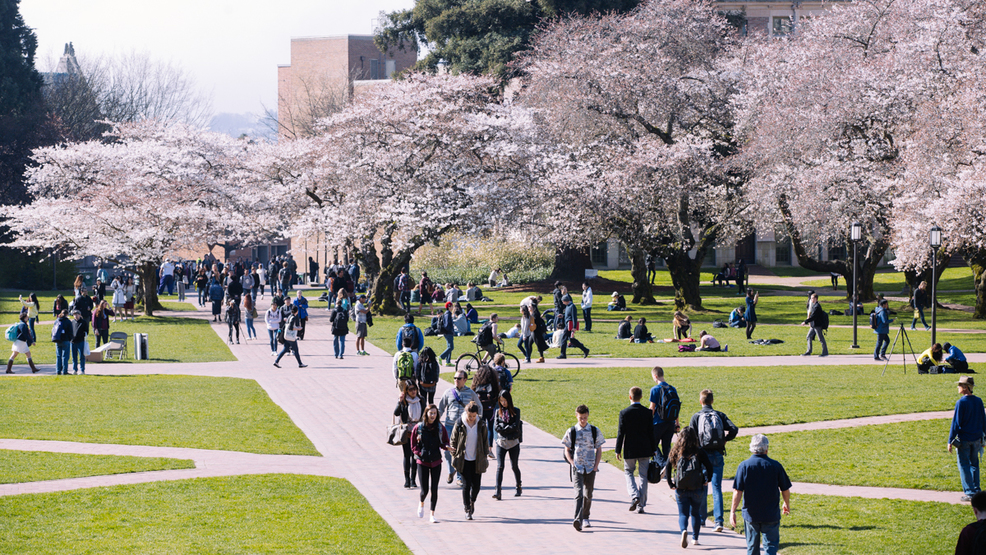 University of Washington (UW) Acceptance Rate 2023