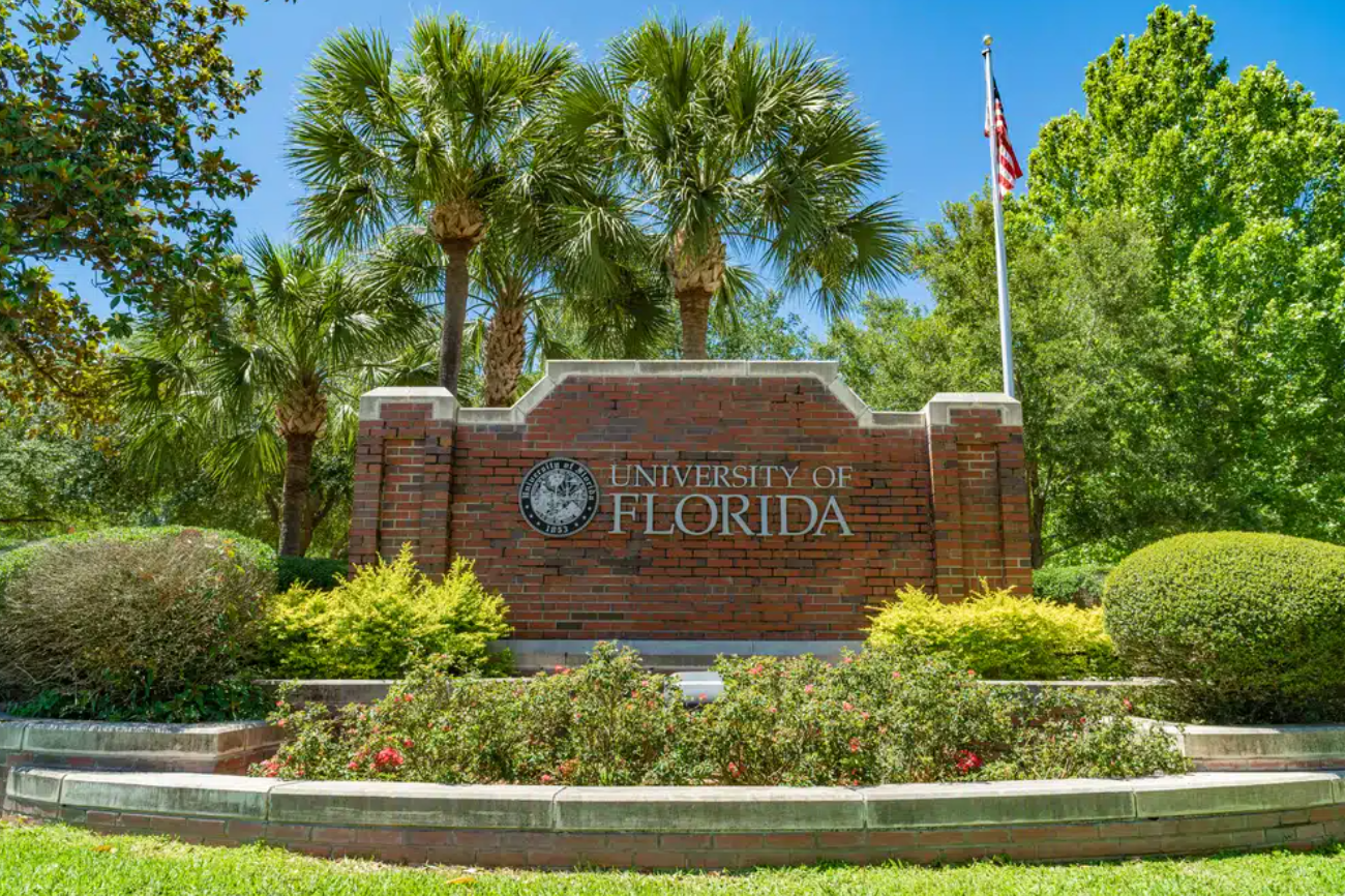 Demographics: Who Makes up the UF Student Body?